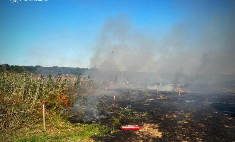 Надзвичайники показали перші фото з місця прильоту російської ракети поблизу Чернігова (Фото)
