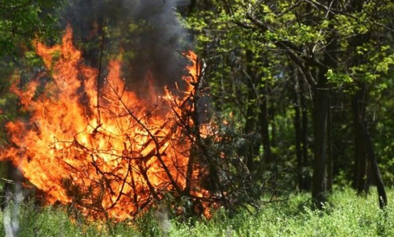 Найближчими днями на Чернігівщині очікується надзвичайний рівень пожежної небезпеки
