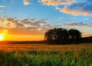 Погода у вихідні на Чернігівщині: як довго втримається осіннє тепло Погода у вихідні на Чернігівщині: як довго втримається осіннє тепло