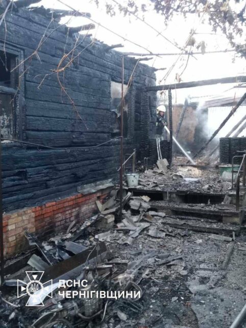 Троє людей загинуло у вогні: на Чернігівщині за добу ліквідували 17 пожеж (Фото)
