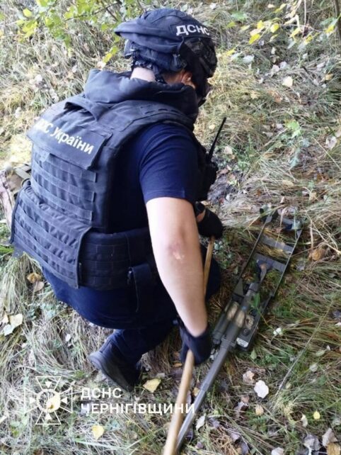 Троє людей загинуло у вогні: на Чернігівщині за добу ліквідували 17 пожеж (Фото)