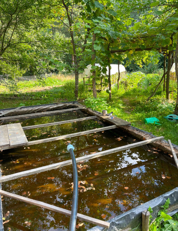 У селі на Чернігівщині живе подружжя, яке наполовину відмовилося від благ цивілізації (Фото)