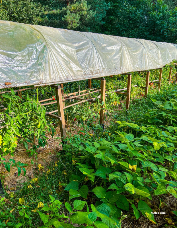 У селі на Чернігівщині живе подружжя, яке наполовину відмовилося від благ цивілізації (Фото)