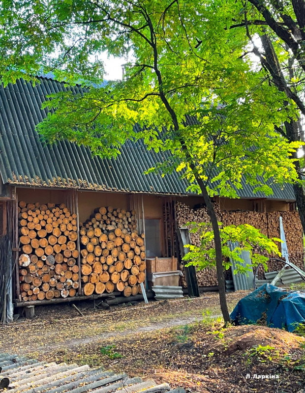 У селі на Чернігівщині живе подружжя, яке наполовину відмовилося від благ цивілізації (Фото)
