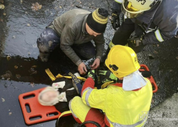 У Чернігові 90-річна жінка впала з мосту У Чернігові 90-річна жінка впала з мосту