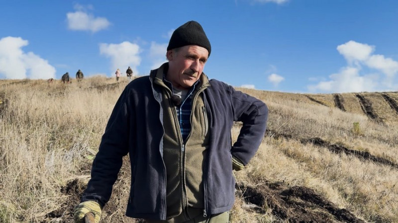 Замість пасовищ — молодий ліс: на території Срібнянської громади на Чернігівщині висадили 12,5 тисяч сіянців дерев