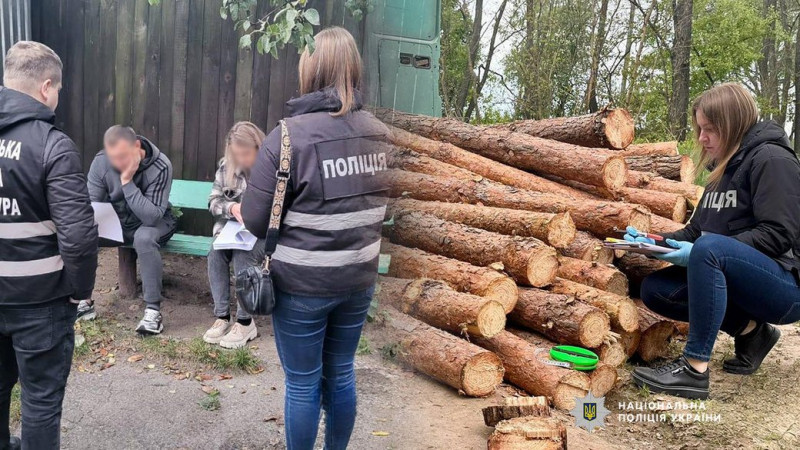 Незаконно вирубали 150 дерев, що завдало збитків на майже 1 млн грн: на Чернігівщині повідомили про підозру ліснику