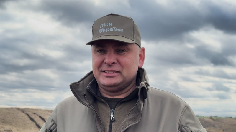Замість пасовищ — молодий ліс: на території Срібнянської громади на Чернігівщині висадили 12,5 тисяч сіянців дерев