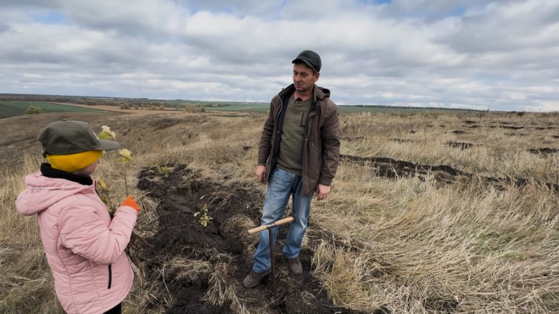 Замість пасовищ — молодий ліс: на території Срібнянської громади на Чернігівщині висадили 12,5 тисяч сіянців дерев