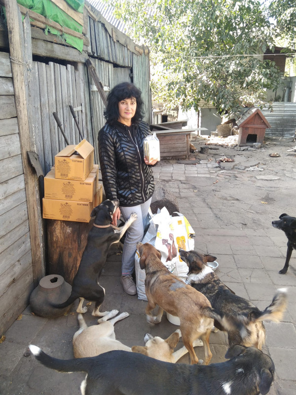 «Дуже важко. Ми тримаємося з останніх сил»: жінка з обстрілюваного чернігівського прикордоння дбає про 32 собак і 35 котів