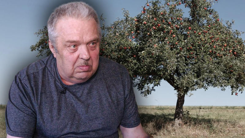 "Грем'яч горить": у Новгород-Сіверській РВА розповіли про ситуацію в селі, яке на самому кордоні Чернігівщини з РФ