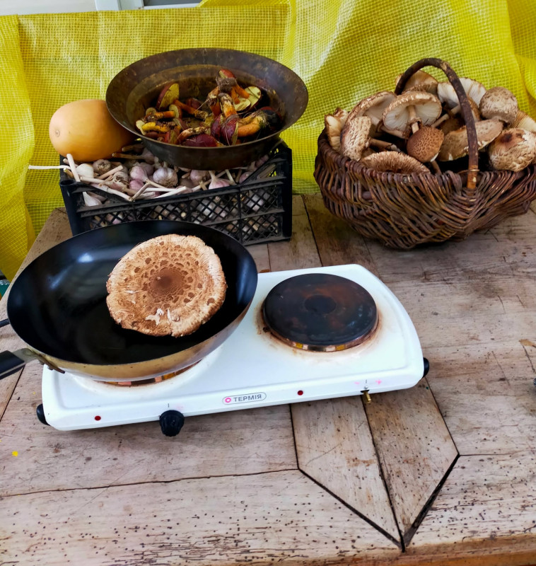 Грубка – як знахідка, а також інвертор та інші пристрої: енергетична незалежність родини пенсіонерів із Чернігівщини (Фото)