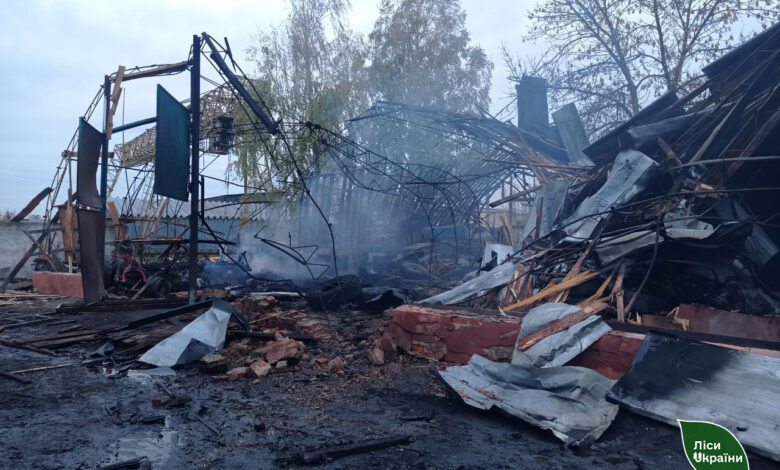 Лісівники показали наслідки ворожого удару на Чернігівщині (Фото)