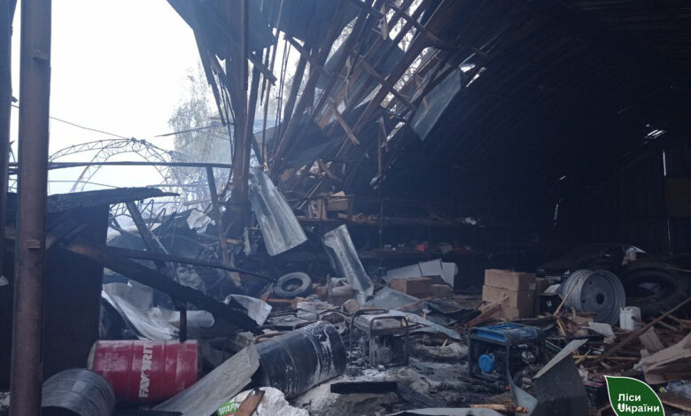 Лісівники показали наслідки ворожого удару на Чернігівщині (Фото)