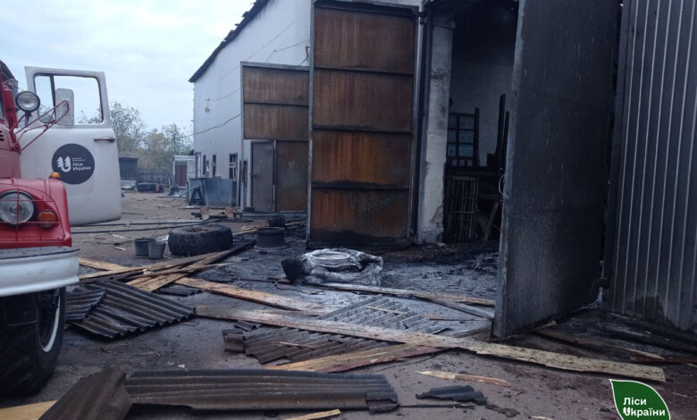 Лісівники показали наслідки ворожого удару на Чернігівщині (Фото)