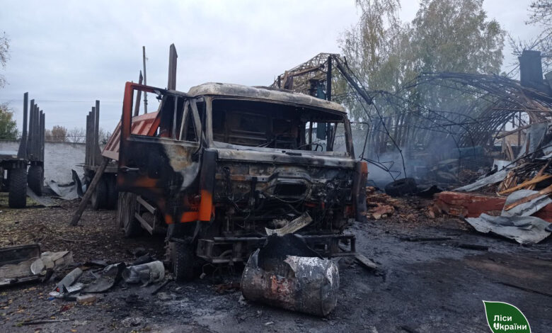 Лісівники показали наслідки ворожого удару на Чернігівщині (Фото)