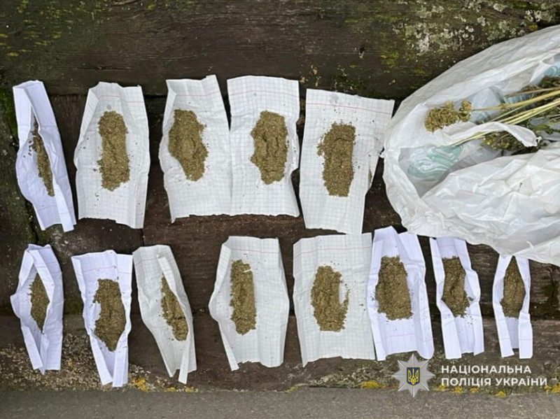 На Чернігівщині викрили місцевих жителів, які вирощували коноплі (Фото)