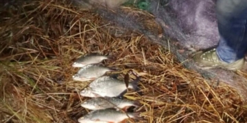 На Чернігівщині затримали браконьєрів з Київської області