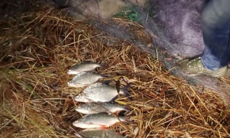 На Чернігівщині затримали браконьєрів з Київської області