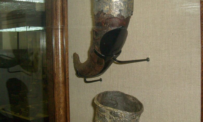 Три набори кісток: хто похований у кургані Чорна могила в Чернігові (Фото)