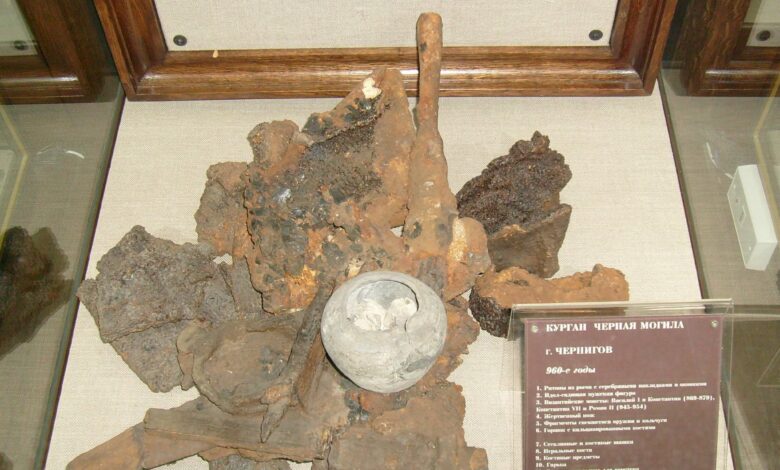 Три набори кісток: хто похований у кургані Чорна могила в Чернігові (Фото)