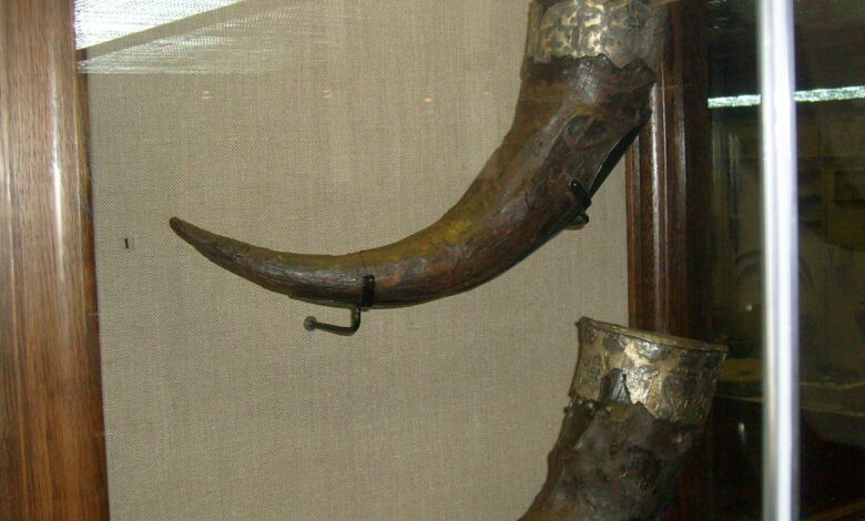 Три набори кісток: хто похований у кургані Чорна могила в Чернігові (Фото)