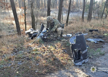 На території Корюківського й Ніжинського районів знешкодили частини збитих російських безпілотників