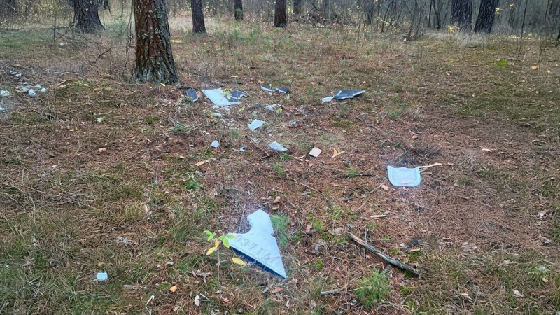 У лісі натрапили на БпЛА: на Чернігівщині двоє підлітків зазнали поранень внаслідок детонації вибухової частини