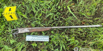 8 років за ґратами та 300 тис. грн моральної шкоди: на Чернігівщині засудили чоловіка, який стріляв у жінку свого брата