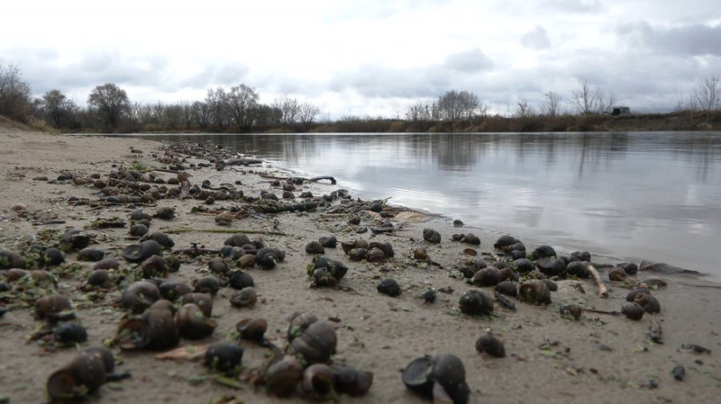 "Виявляти браконьєрів набагато легше": рейд по зимувальних ямах з Чернігівським рибоохоронним патрулем