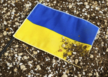 Чоловік, який на Чернігівщині викрав з могили військового два прапори, має заплатити 111 тисяч гривень Чоловік, який на Чернігівщині викрав з могили військового два прапори, має заплатити 111 тисяч гривень