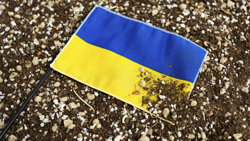 Чоловік, який на Чернігівщині викрав з могили військового два прапори, має заплатити 111 тисяч гривень