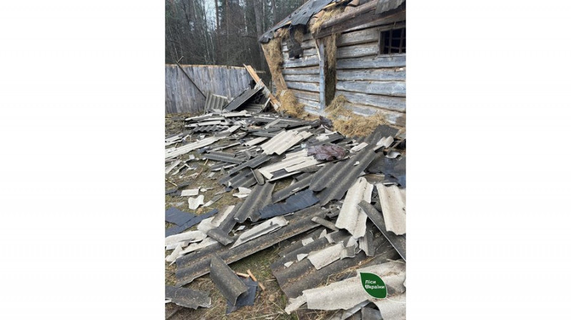 Росіяни атакували лісництво на Чернігівщині, пошкоджена будівля