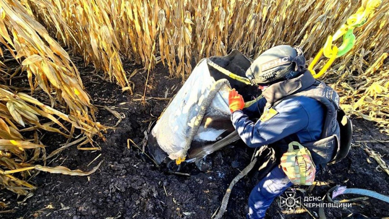 На території Корюківського й Ніжинського районів знешкодили частини збитих російських безпілотників
