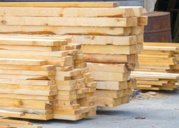 Депутату з Чернігівщини обрано запобіжний захід за контрабанду лісу до ЄС (Фото)