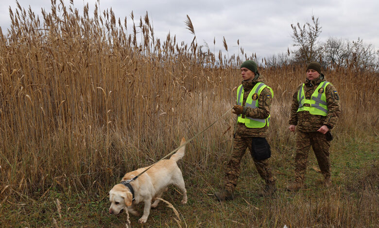 До пошуків задіяні всі спецслужби: подробиці пошуків неповнолітнього хлопця в Чернігівському районі
