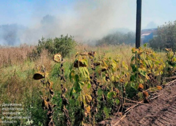 Пожежа тривала два тижні: падіння російського БпЛА на Чернігівщині завдало шкоди довкіллю на понад 230 мільйонів гривень