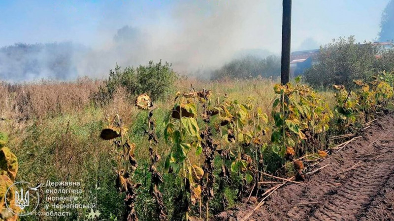 Пожежа тривала два тижні: падіння російського БпЛА на Чернігівщині завдало шкоди довкіллю на понад 230 мільйонів гривень