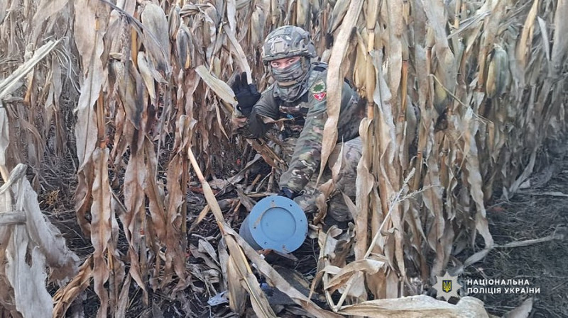 На території Корюківського й Ніжинського районів знешкодили частини збитих російських безпілотників