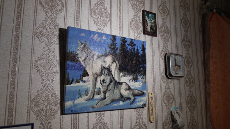 TikTok допоміг розрахуватися з боргами після розлучення: жителька Чернігівщини знімає блог про життя в селі