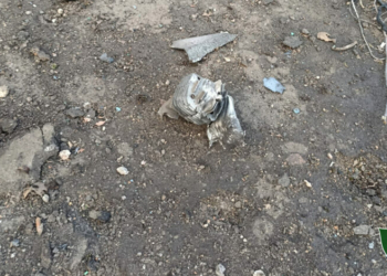 На Чернігівщині безпілотник влучив у нижній склад надлісництва (Фото)