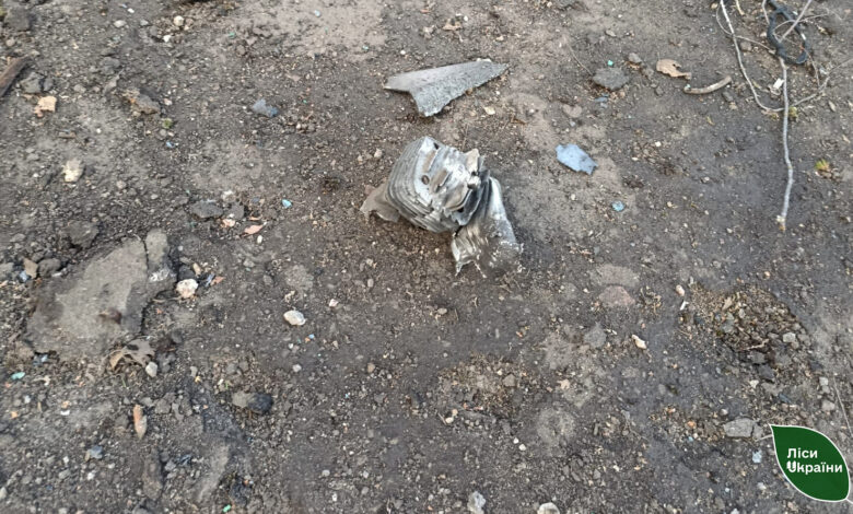 На Чернігівщині безпілотник влучив у нижній склад надлісництва (Фото)