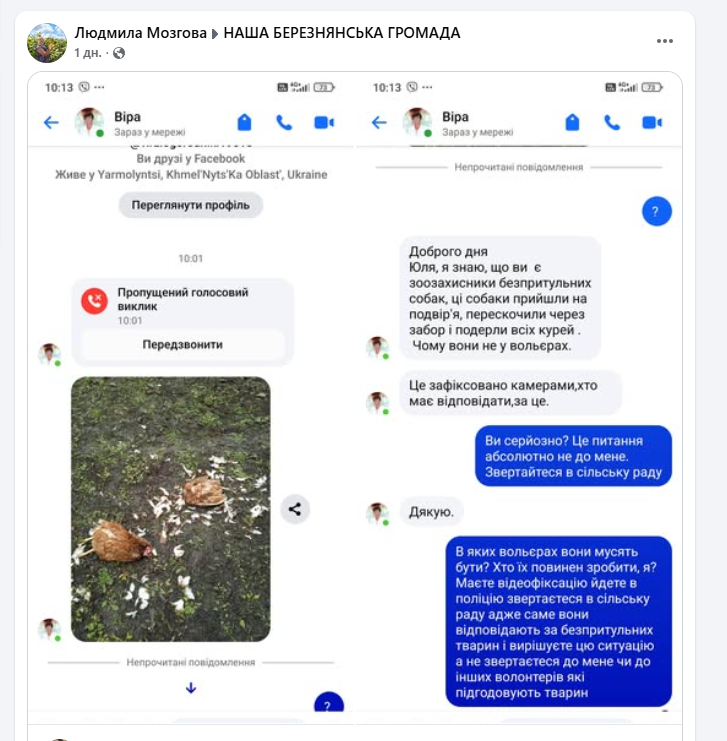 Нічийні собаки подерли курей: чи була ситуація в селищі на Чернігівщині