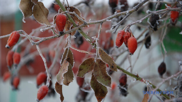 Початок грудня на Чернігівщині буде теплим