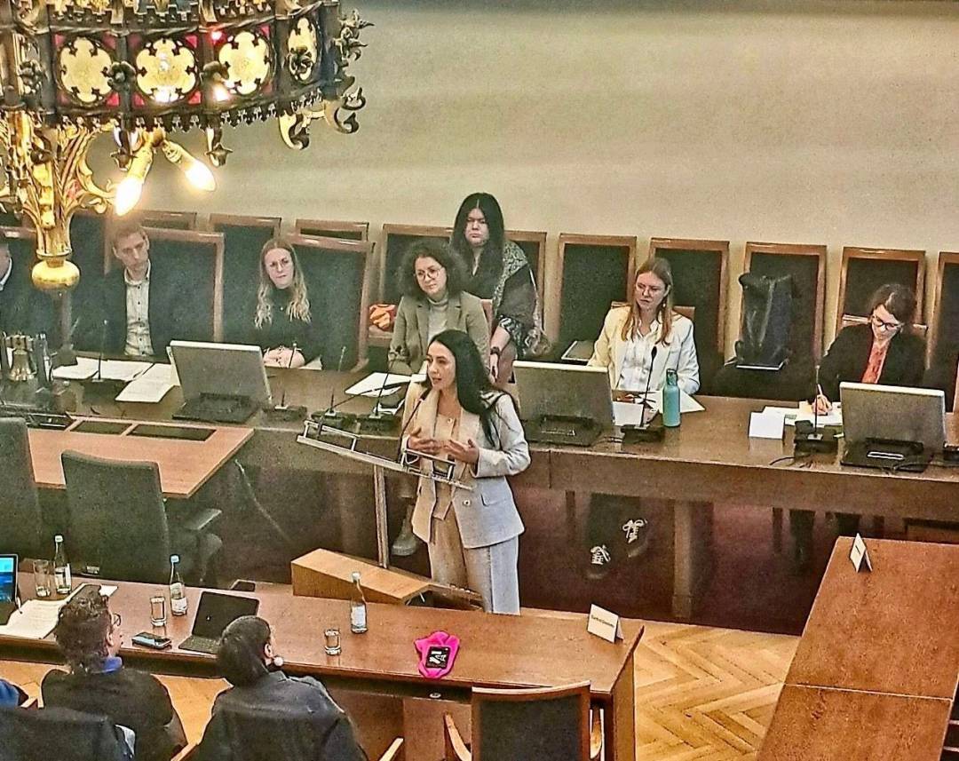 SUN4Ukraine стартує: перша установча зустріч українських та європейських міст за участю Чернігова