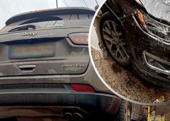 У Чернігові нетверезий водій скоїв ДТП