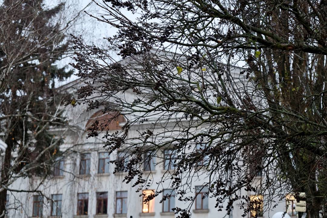 У Чернігові вшанували пам’ять жертв Голодоморів