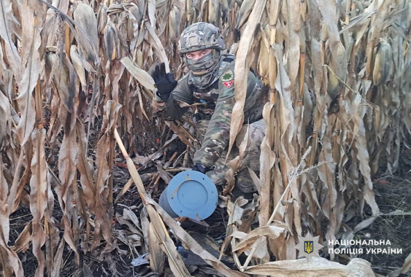 У двох районах Чернігівщини знайшли уламки збитих безпілотників