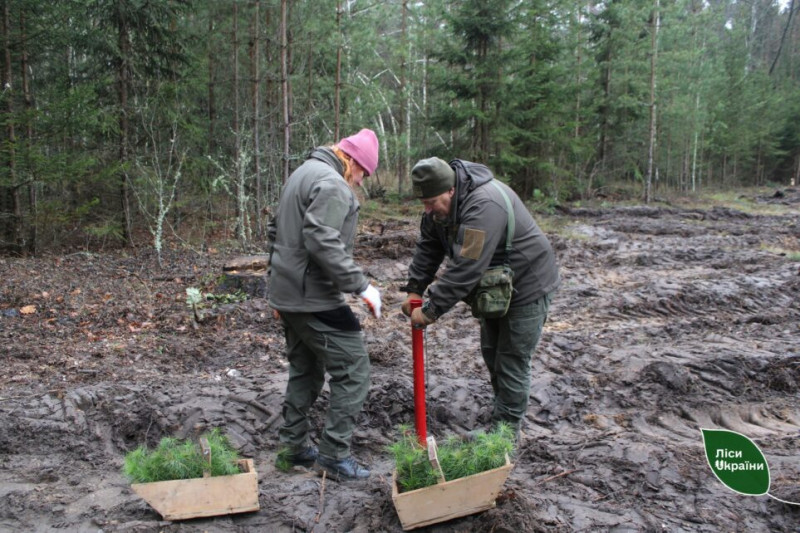 У пам’ять про загиблого воїна виросте цілий ліс: на Чернігівщині вшанували лісника
