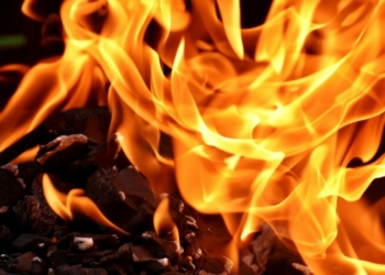 У селищі на Чернігівщині згоріла тонна сіна